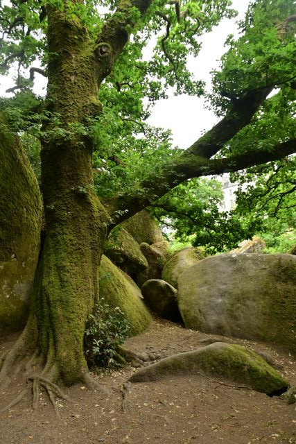 Día 7: Amanecer en Trégastel y anochecer en Huelgoat - 10 días de verano en la Bretaña francesa (7)